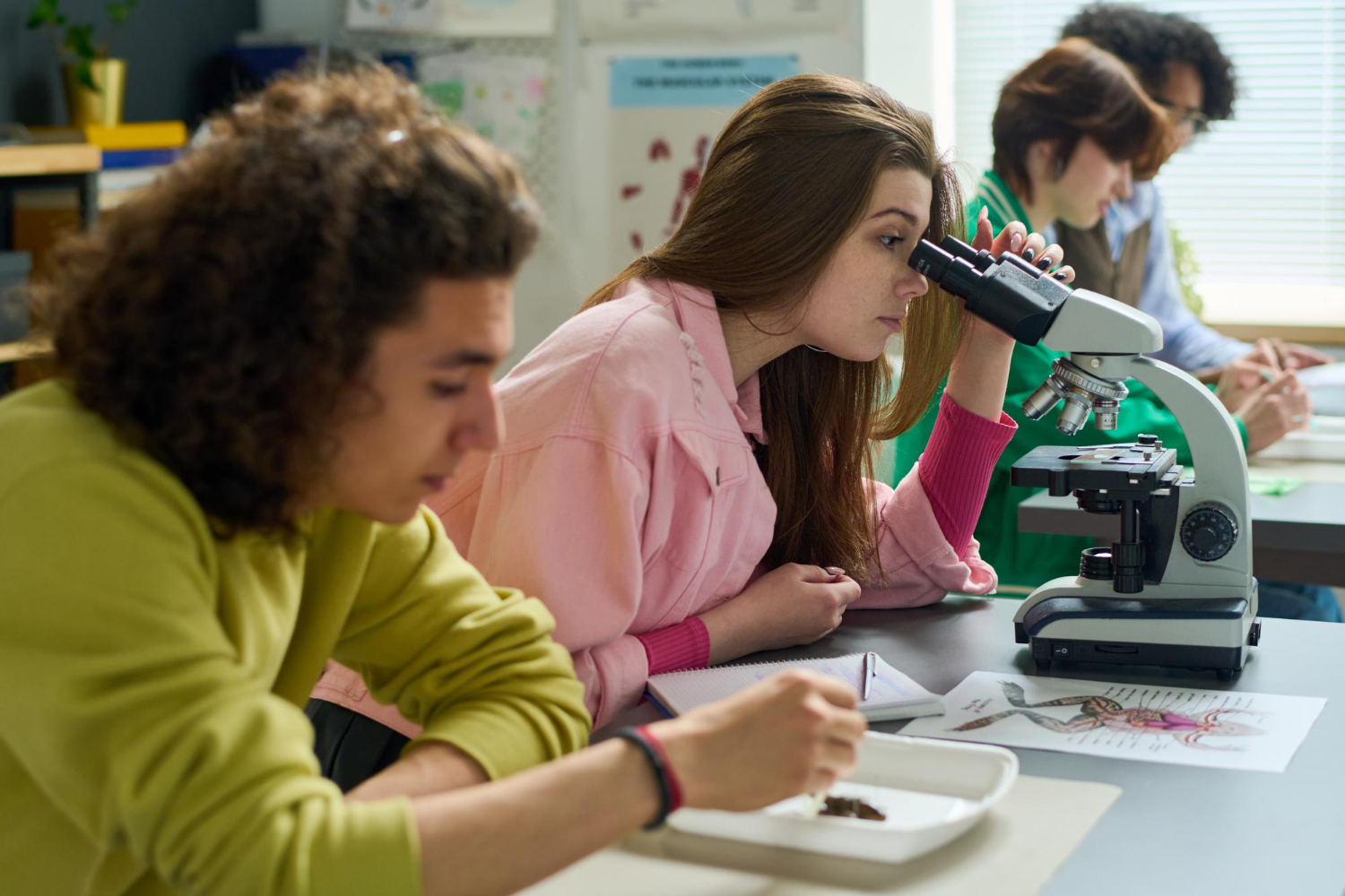 Bachillerato de Ciencias y Tecnología en Juan XXIII Cartuja