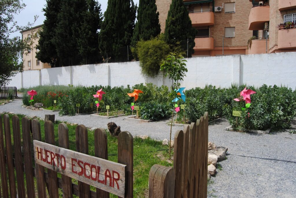 Huerto escolar de Juan XXIII Cartuja