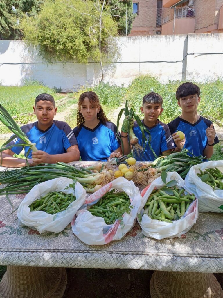Instalaciones de Educación Secundaria en Juan XXIII Cartuja