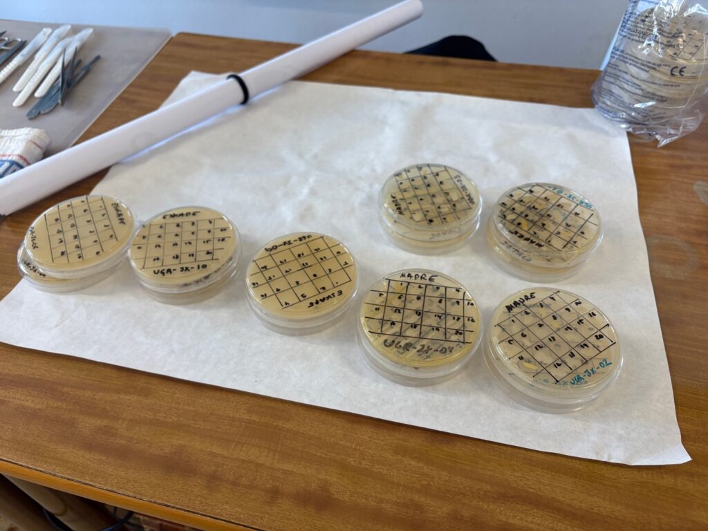 Laboratorio de Juan XXIII Cartuja